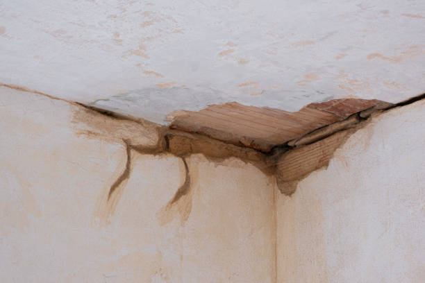 Best Water damage restoration cost  in North Hills, NY