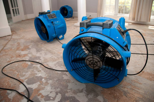 Best Carpet water damage restoration  in North Hills, NY