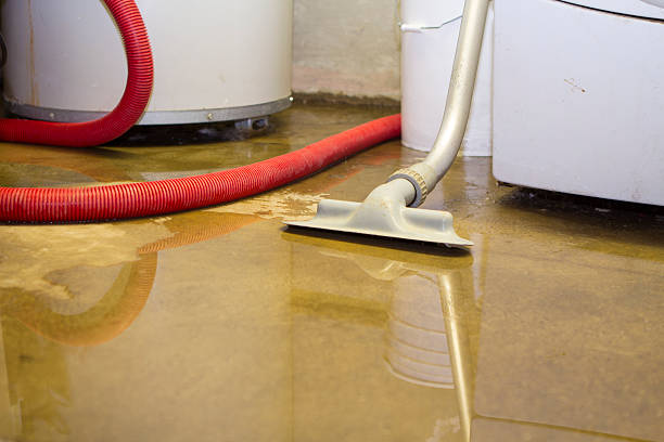 Best Water damage repair service  in North Hills, NY