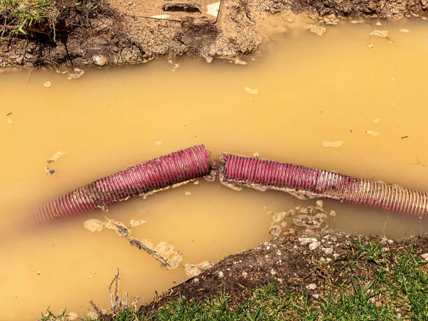  North Hills, NY Water damage restoration Pros
